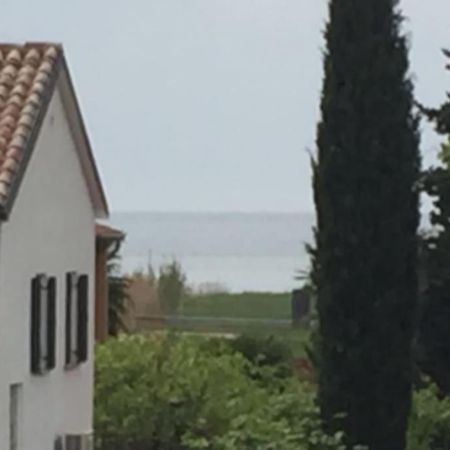 Apartment, 200M From Sea Brtonigla Buitenkant foto