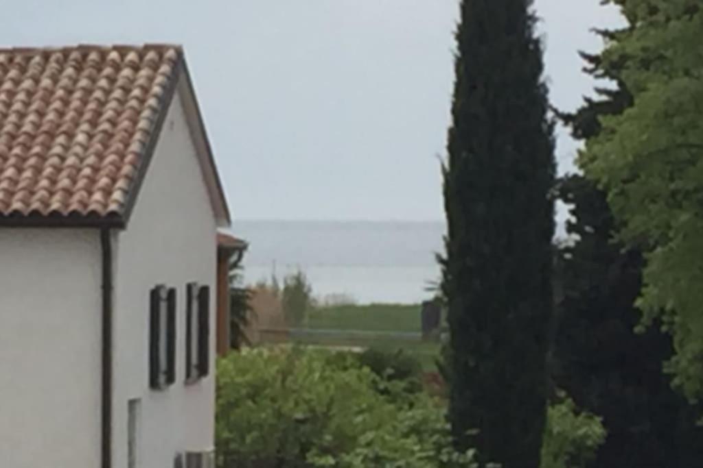 Apartment, 200M From Sea Brtonigla Buitenkant foto